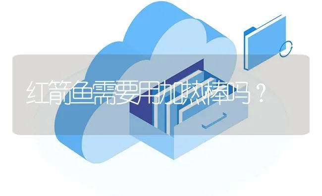 红箭鱼需要用加热棒吗？ | 鱼类宠物饲养