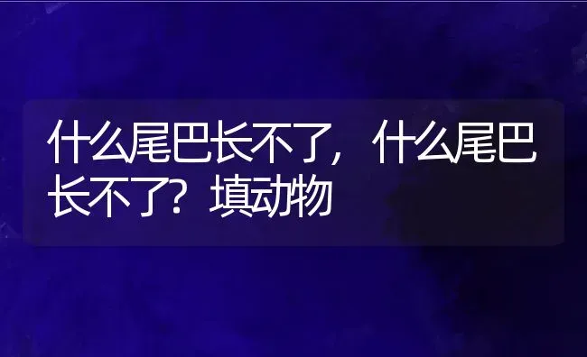 什么尾巴长不了,什么尾巴长不了?填动物 | 宠物百科知识