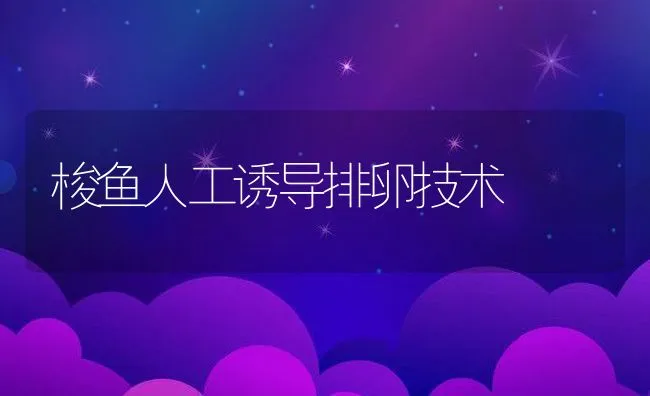 家兔配种小诀窍 | 动物养殖学堂