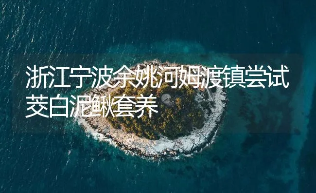 浙江宁波余姚河姆渡镇尝试茭白泥鳅套养 | 海水养殖技术