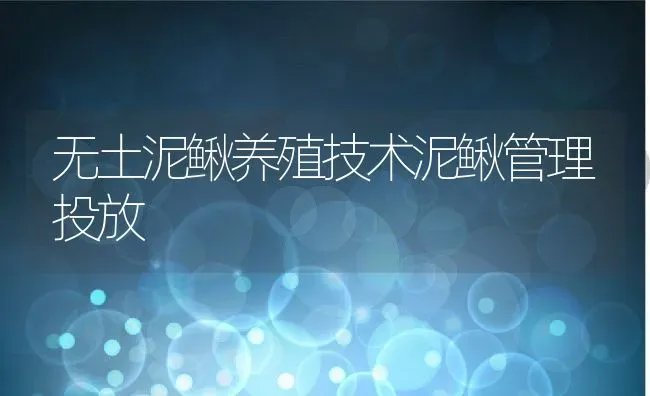 无土泥鳅养殖技术泥鳅管理投放 | 动物养殖教程