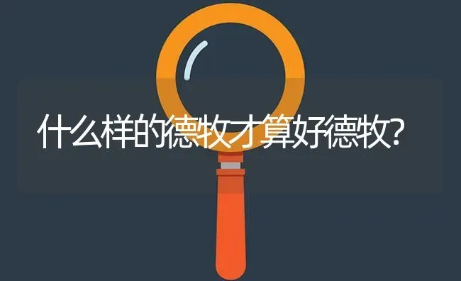 什么样的德牧才算好德牧？ | 动物养殖问答