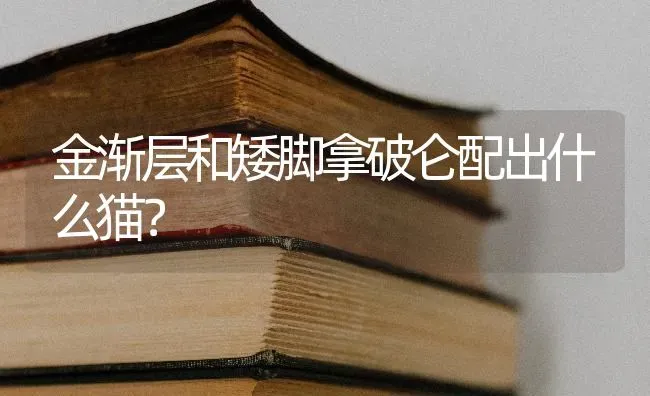 比熊母幼犬第一次发情大概在什么时候？ | 动物养殖问答