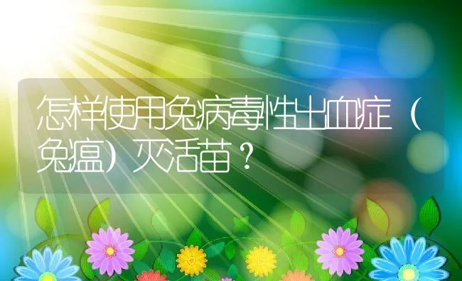 怎样使用兔病毒性出血症（兔瘟）灭活苗？ | 水产养殖知识