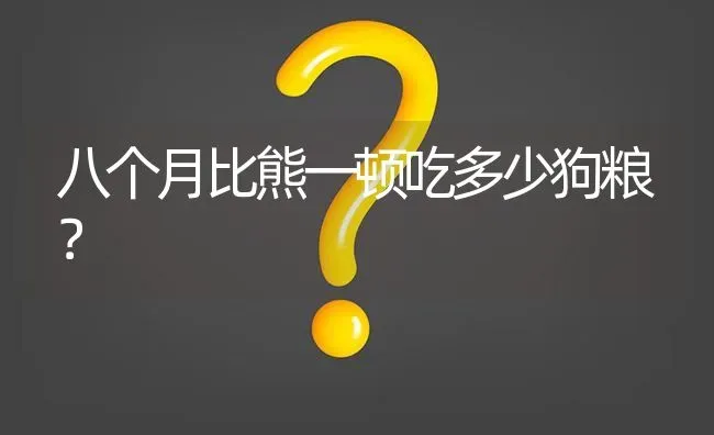 八个月比熊一顿吃多少狗粮？ | 动物养殖问答