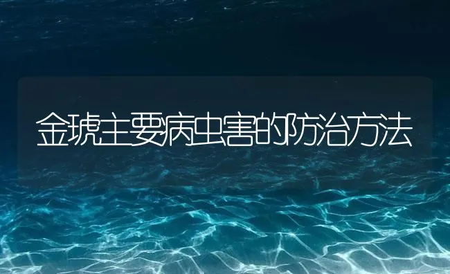 金琥主要病虫害的防治方法 | 海水养殖技术