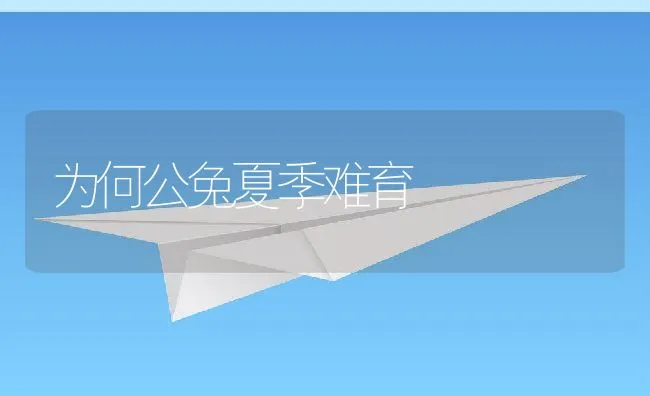 为何公兔夏季难育 | 动物养殖学堂