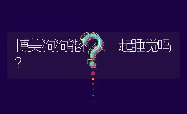 博美狗狗能和人一起睡觉吗？ | 动物养殖问答