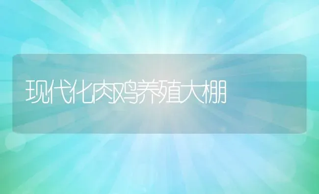 现代化肉鸡养殖大棚 | 动物养殖百科