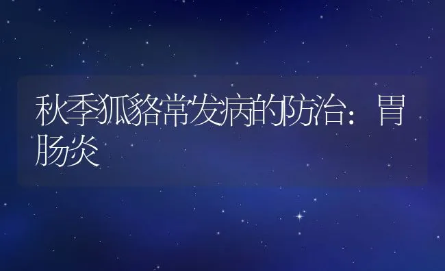 秋季狐貉常发病的防治：胃肠炎 | 水产养殖知识