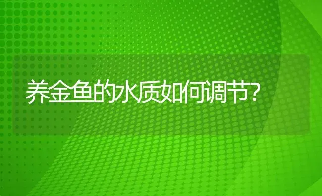 养金鱼的水质如何调节？ | 鱼类宠物饲养