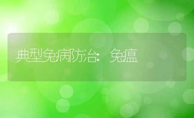 典型兔病防治:兔瘟 | 动物养殖学堂