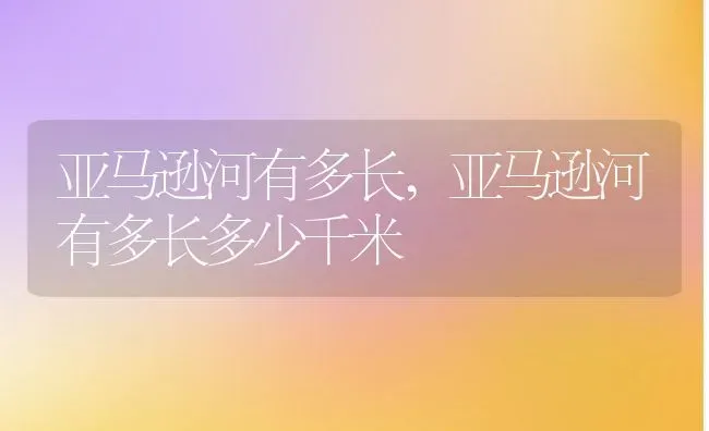 亚马逊河有多长,亚马逊河有多长多少千米 | 宠物百科知识