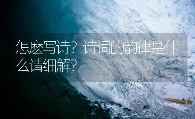 怎麽写诗？诗词的韵律是什么请细解？ | 鱼类宠物饲养