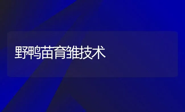 野鸭苗育雏技术 | 动物养殖百科