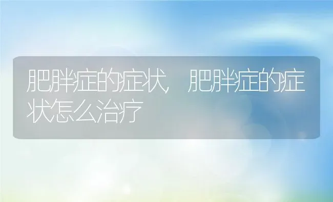 肥胖症的症状,肥胖症的症状怎么治疗 | 宠物百科知识