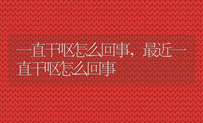 一直干呕怎么回事,最近一直干呕怎么回事 | 宠物百科知识