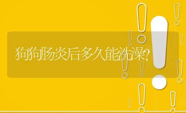 狗狗肠炎后多久能洗澡？ | 动物养殖问答