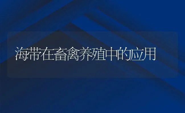 海带在畜禽养殖中的应用 | 动物养殖学堂