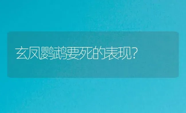 樱桃树有公母之分吗？ | 鱼类宠物饲养