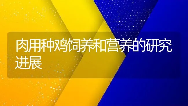 肉用种鸡饲养和营养的研究进展 | 动物养殖学堂