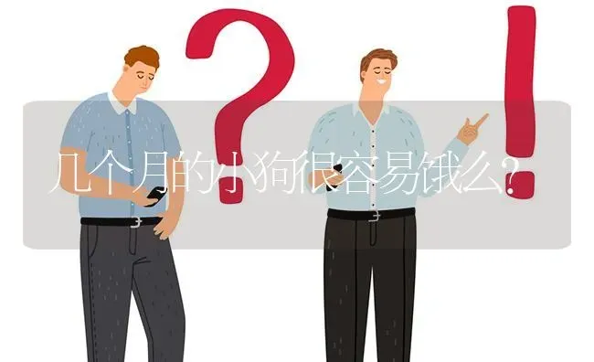 几个月的小狗很容易饿么？ | 动物养殖问答