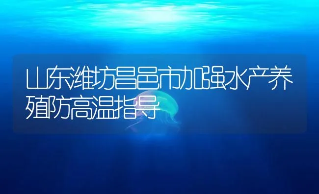 山东潍坊昌邑市加强水产养殖防高温指导 | 海水养殖技术