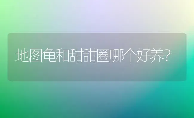 金刚鹦鹉鱼与血鹦鹉有什么区别?10厘米内的金刚鹦鹉鱼的价格是多少？ | 动物养殖问答