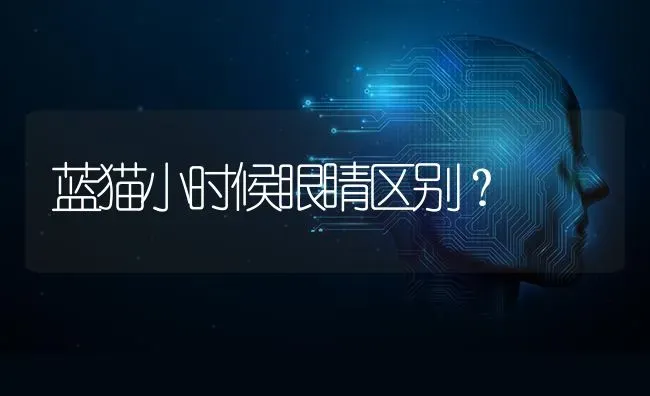 蓝猫小时候眼睛区别？ | 动物养殖问答