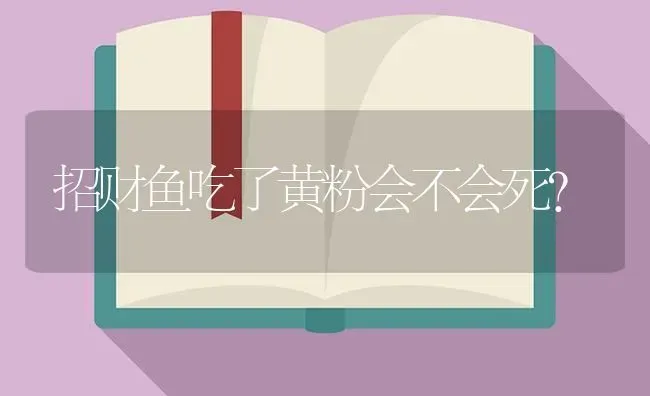 招财鱼吃了黄粉会不会死？ | 鱼类宠物饲养