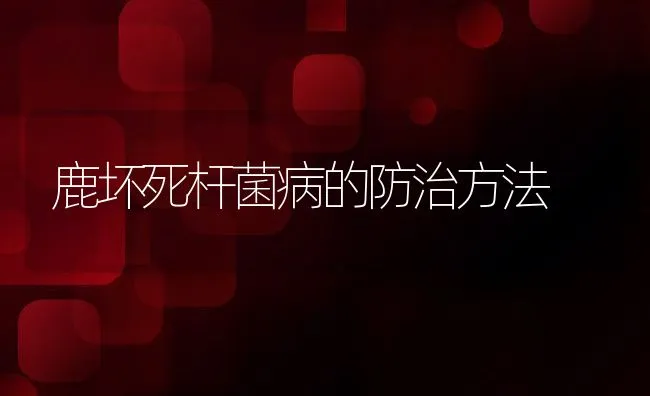 鹿坏死杆菌病的防治方法 | 水产养殖知识