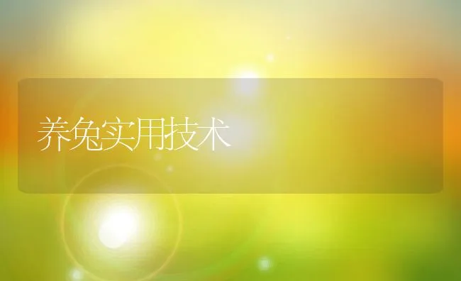 养兔实用技术 | 动物养殖饲料