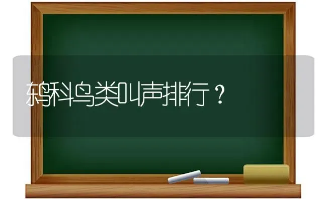 红面龟为什么几乎都是黄色？ | 动物养殖问答