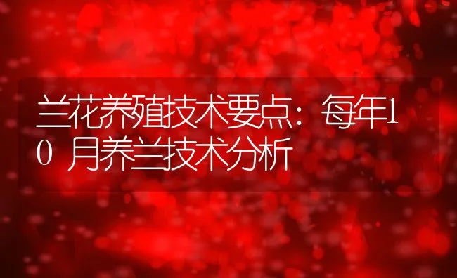 什么是饲料、预混料、浓缩料、全价料 | 动物养殖学堂