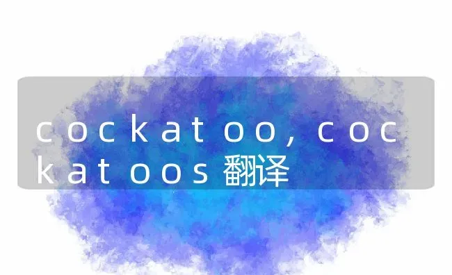 cockatoo,cockatoos翻译 | 宠物百科知识