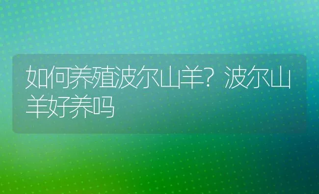 如何养殖波尔山羊？波尔山羊好养吗 | 动物养殖百科