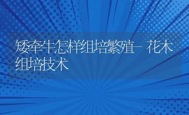 养猪场针对疫病合理使用抗生素药物 | 动物养殖学堂