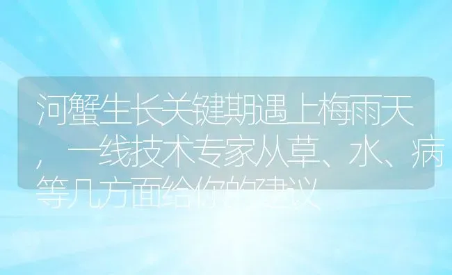 河蟹生长关键期遇上梅雨天,一线技术专家从草、水、病等几方面给你的建议 | 动物养殖百科