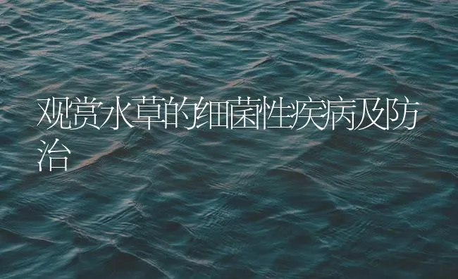 观赏水草的细菌性疾病及防治 | 海水养殖技术