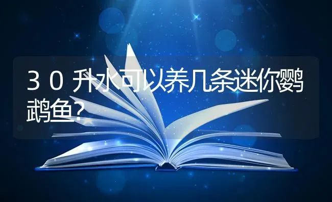 30升水可以养几条迷你鹦鹉鱼？ | 鱼类宠物饲养