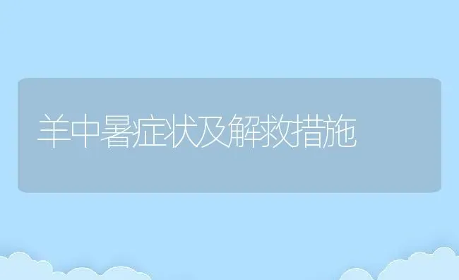 羊中暑症状及解救措施 | 动物养殖百科