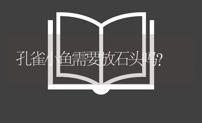 孔雀小鱼需要放石头吗？ | 鱼类宠物饲养