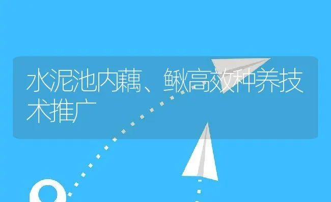 水泥池内藕、鳅高效种养技术推广 | 动物养殖饲料