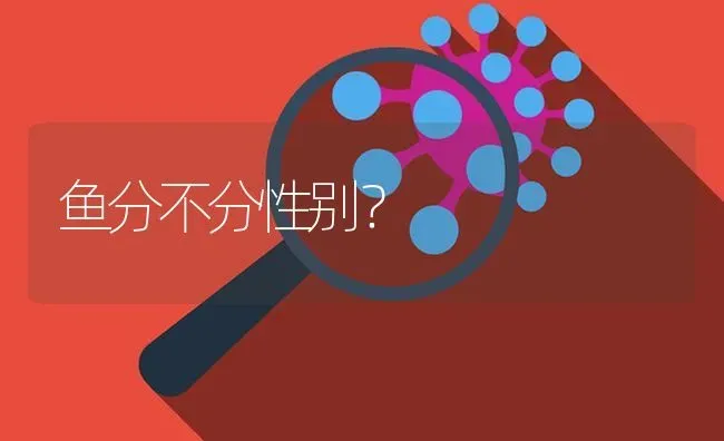 鱼分不分性别？ | 鱼类宠物饲养