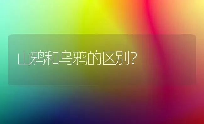 山鸦和乌鸦的区别？ | 动物养殖问答