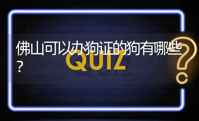 佛山可以办狗证的狗有哪些？ | 动物养殖问答