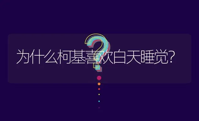 为什么柯基喜欢白天睡觉？ | 动物养殖问答