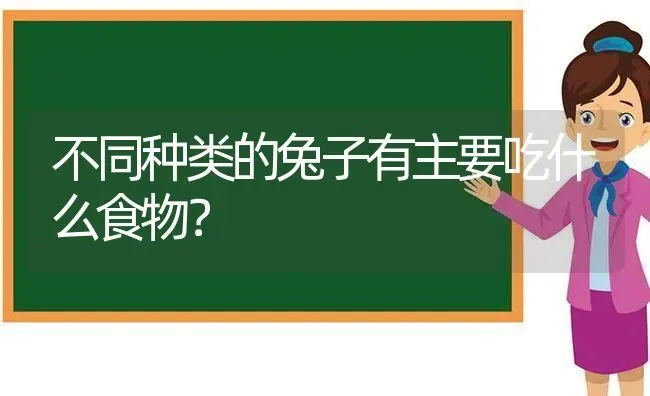 不同种类的兔子有主要吃什么食物？ | 动物养殖问答