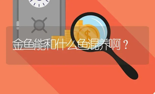 金鱼能和什么鱼混养啊？ | 鱼类宠物饲养