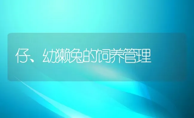 仔、幼獭兔的饲养管理 | 动物养殖饲料